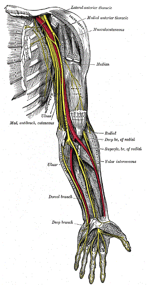 pinched nerve numbness in arm