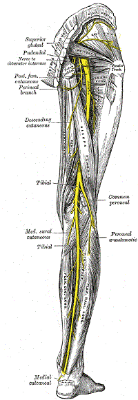 Piriformis Syndrome Signs - Walk-In Back and Neck Pain Relief